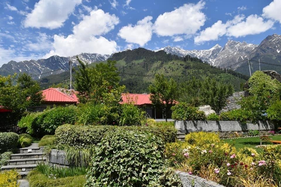 The Amrit Manali - 3Bhk Villas Exterior photo